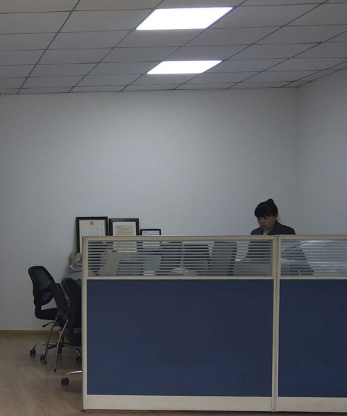 YZ-BGS-2